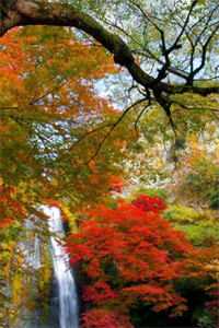 先撩为敬未删减版