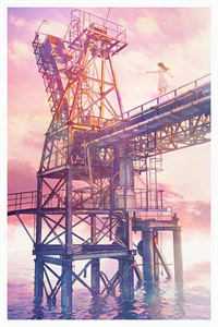 爱已随云起风散完结