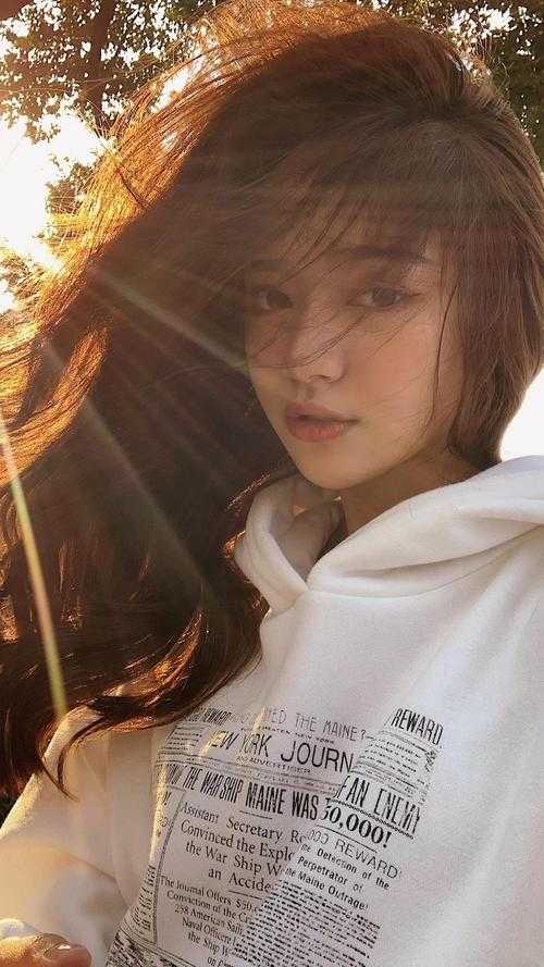 从此年年不见雾在线看