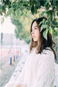 我心向明月不向她陆寂尘江楚楚番外