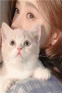 梦里情深醒时空完结txt