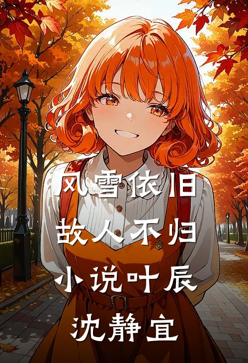 风雪依旧,故人不归叶辰沈静宜免费阅读