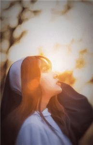 恰逢旧梦又惊鸿大结局