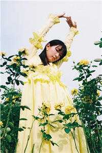 青瓦檐下旧梦残最后结局