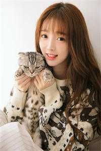 陪她看尽维港夜爽文