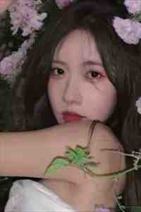 春风不顾桃花雪阮朝然商谨序无删减+无广告