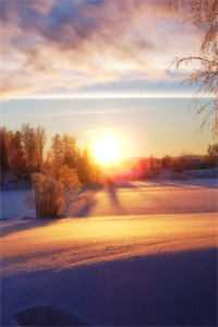 错爱如指间流沙无删减