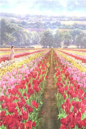 妻子替助理洗内裤，我直接让她洗99条完结