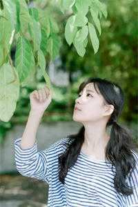 你是明雾亦是灯火热门