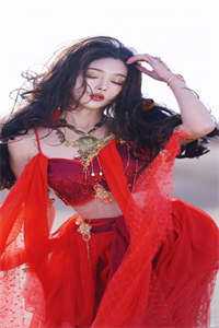 高考状元的死亡之谜叶凡张组长结局+番外