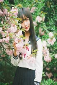 落尽梨花月沉西异常火爆