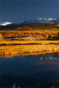 改嫁王府当富婆，夺他江山又如何顾凝儿萧屹洲小说结局