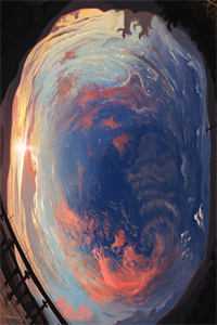 穿书万人迷：男主们为我痴狂小说全文免费