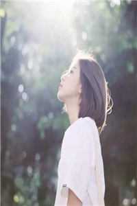 何处盛放的红蔷薇最新章节列表