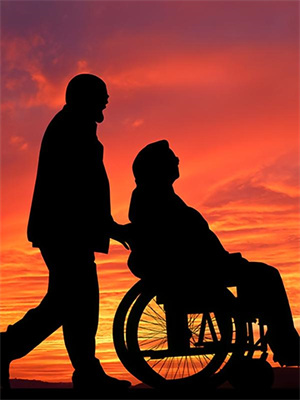 雪落庭前不见君结局