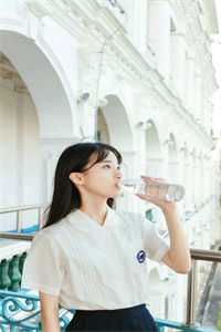 侯府奶娘归田记全局