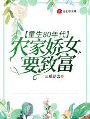 恰逢微光坠落时长篇小说推荐