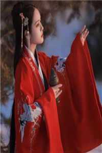 智者不入爱河畅读