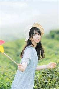 折梅寄远未逢春试读