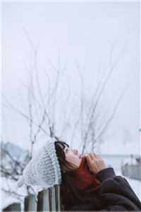 我心也曾逐月华完整