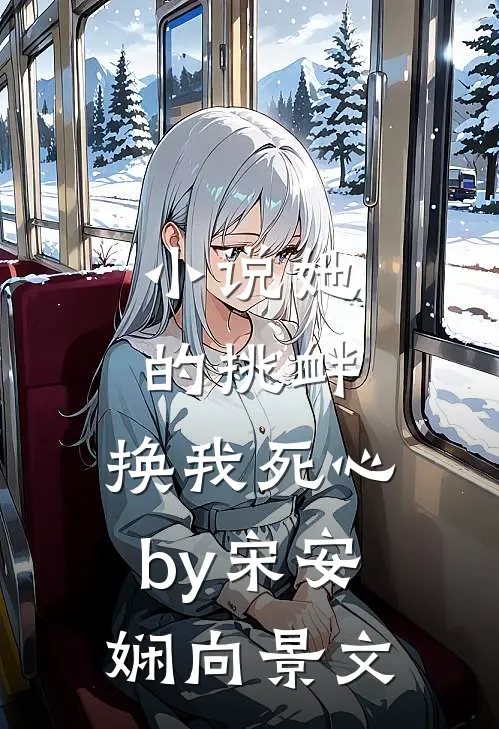 小说她的挑衅，换我死心by宋安娴向景文