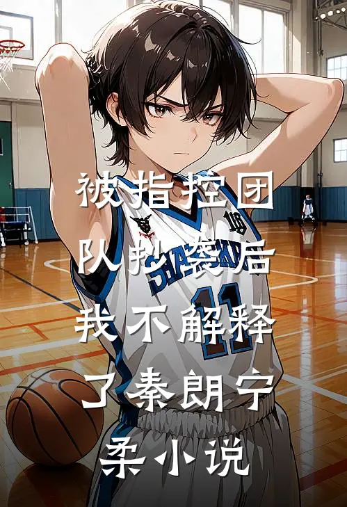 被指控团队抄袭后，我不解释了秦朗宁柔小说