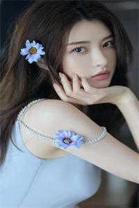 第七年星月凋零全篇