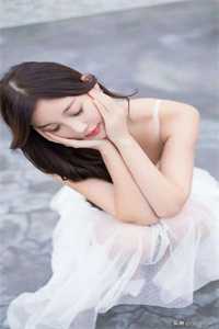 此生执剑，未敢退却小说