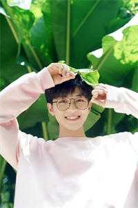 侯府奶娘归田记全本