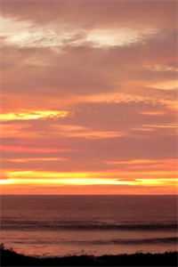 侯府奶娘归田记连载