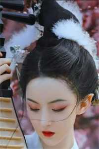 千帆过尽，爱已沉舟小说畅读