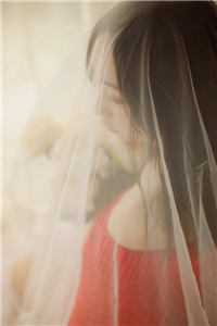 一夜风吹絮笔趣阁