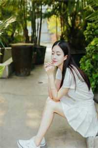 杨过：这次，换我来守护桃花岛已完结