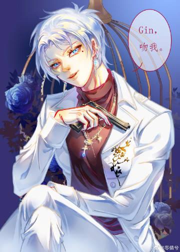 精选小说推荐谍战逆袭：我的代号铁丝网