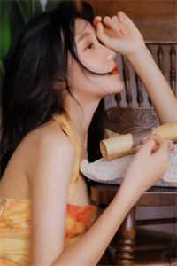 锦书难寄情难再无删减版