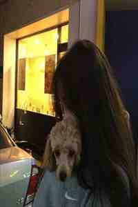 不待明月宴春山全本