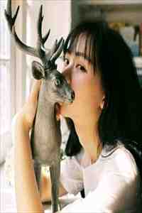 极光漫过永夜处江宥白苏尘雪小说