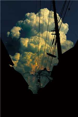 穿成年代文里被替换的真千金的小说