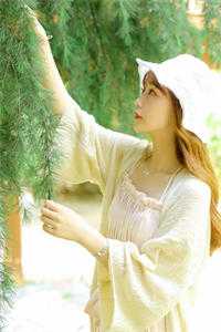 太子退婚娶穿越女，我改嫁三皇子登后位推荐