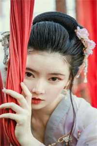 此后风雨不相逢完结txt