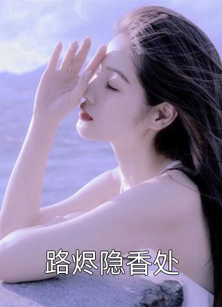 姐夫，请止步番外