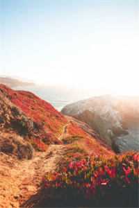 后来春去花落尽全篇