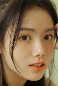 星垂平野独自明番外