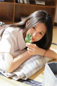 此后风雨不相逢小说结局