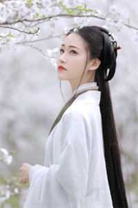 梨花枝上绵绵雪精选