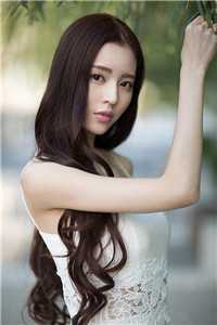 穿书万人迷：男主们为我痴狂无删减+无广告