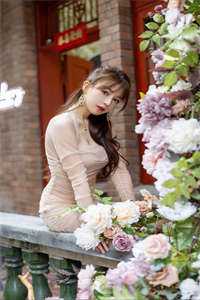 暮雨潇潇藏枯骨免费