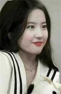 高冷设计师的软萌招财小妹杨久郎周婉秋无删减+无广告