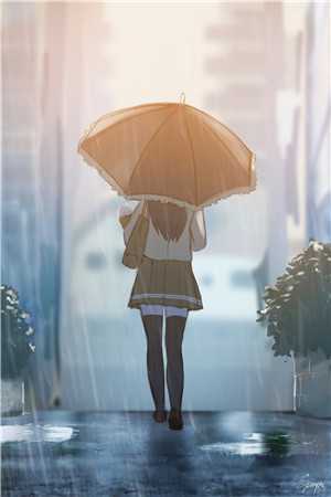 被当做玩物抬进长公主后，我成了长公主心尖宠必读文