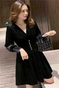 从此候鸟无归期全新